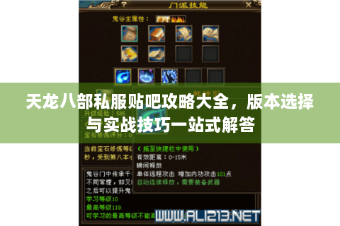 天龙八部私服贴吧攻略大全，版本选择与实战技巧一站式解答