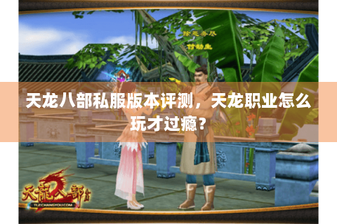 天龙八部私服版本评测,天龙职业怎么玩才过瘾? 天龙八部私服版本评测,天龙职业怎么玩才过瘾?