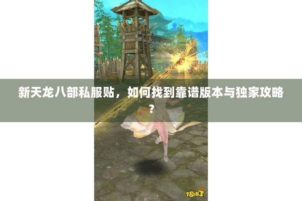 新天龙八部私服贴，如何找到靠谱版本与独家攻略？