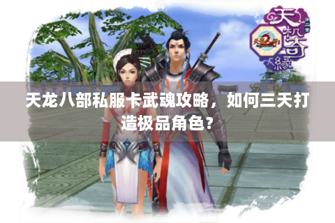 天龙八部私服卡武魂攻略,如何三天打造极品角色? 天龙八部私服卡武魂攻略,如何三天打造极品角色?