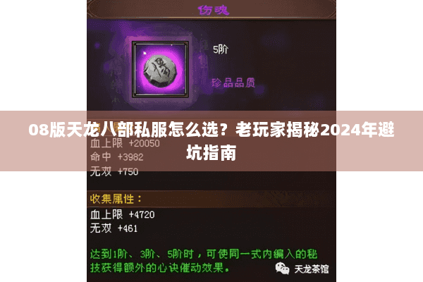 08版天龙八部私服怎么选?老玩家揭秘2024年避坑指南 08版天龙八部私服怎么选?老玩家揭秘2024年避坑指南
