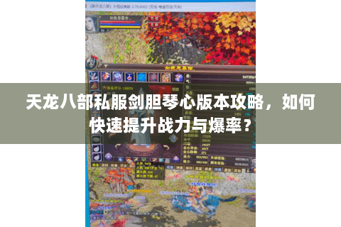 天龙八部私服剑胆琴心版本攻略，如何快速提升战力与爆率？