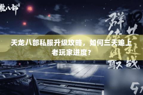 天龙八部私服升级攻略,如何三天追上老玩家进度? 天龙八部私服升级攻略,如何三天追上老玩家进度?