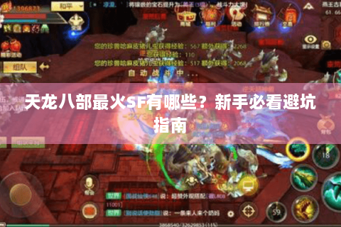 天龙八部最火SF有哪些？新手必看避坑指南