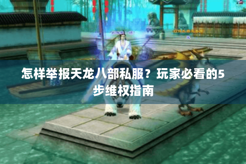 怎样举报天龙八部私服？玩家必看的5步维权指南