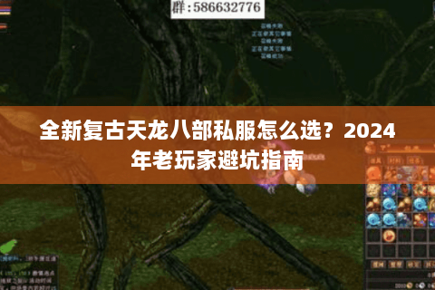 全新复古天龙八部私服怎么选？2024年老玩家避坑指南