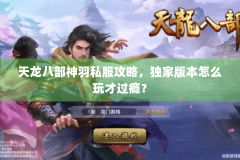 天龙八部神羽私服攻略，独家版本怎么玩才过瘾？