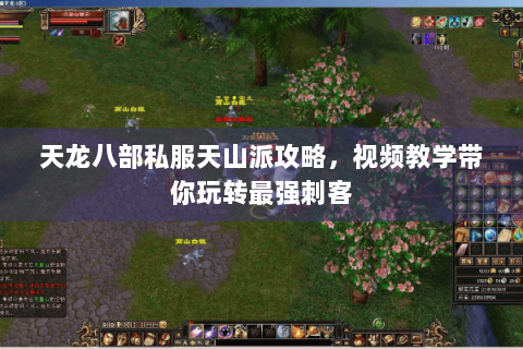 天龙八部私服天山派攻略,视频教学带你玩转最强刺客 天龙八部私服天山派攻略,视频教学带你玩转最强刺客