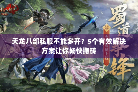 天龙八部私服不能多开？5个有效解决方案让你畅快搬砖