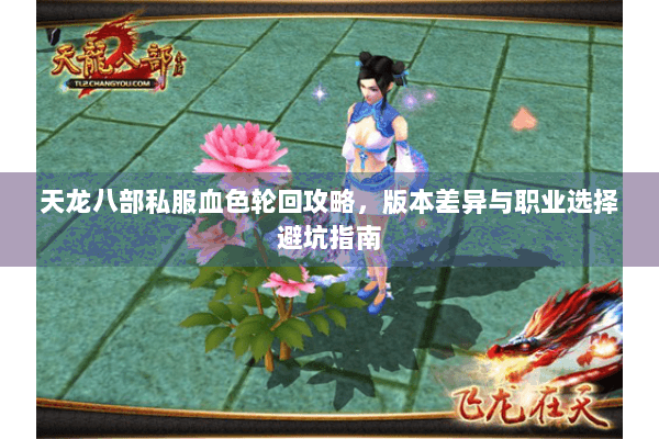天龙八部私服血色轮回攻略，版本差异与职业选择避坑指南