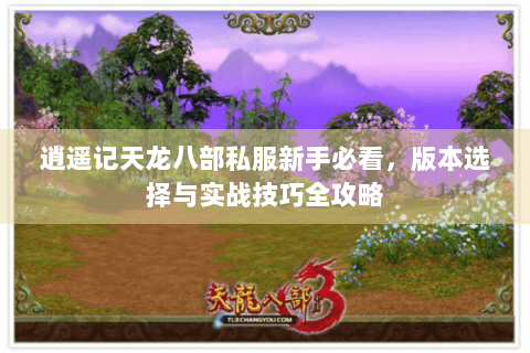 逍遥记天龙八部私服新手必看,版本选择与实战技巧全攻略 逍遥记天龙八部私服新手必看,版本选择与实战技巧全攻略