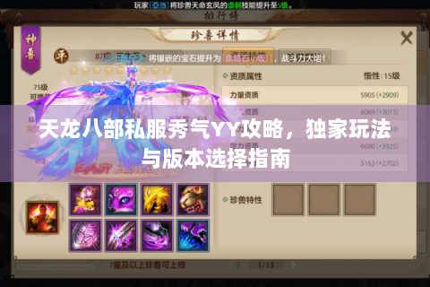 天龙八部私服秀气YY攻略，独家玩法与版本选择指南