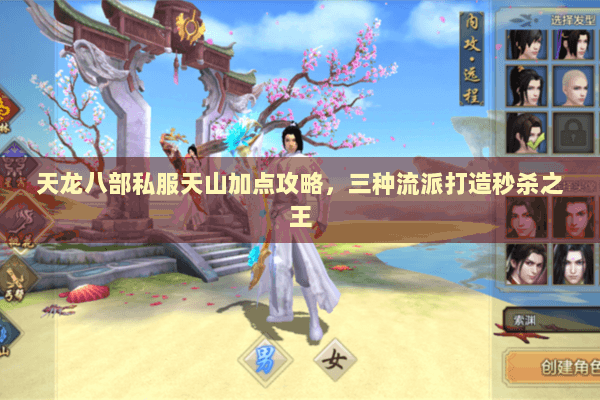 天龙八部私服天山加点攻略，三种流派打造秒杀之王