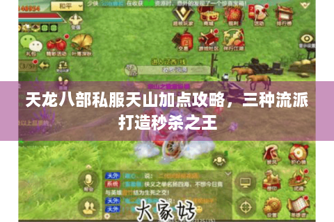 天龙八部私服天山加点攻略，三种流派打造秒杀之王