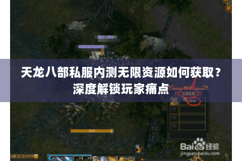 天龙八部私服内测无限资源如何获取？深度解锁玩家痛点
