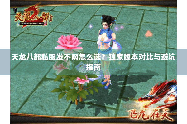 天龙八部私服发不网怎么选？独家版本对比与避坑指南