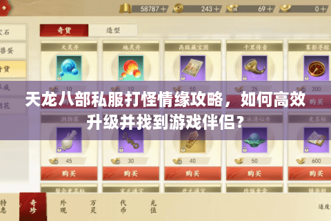 天龙八部私服打怪情缘攻略，如何高效升级并找到游戏伴侣？