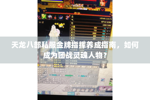 天龙八部私服金牌指挥养成指南,如何成为团战灵魂人物? 天龙八部私服金牌指挥养成指南,如何成为团战灵魂人物?