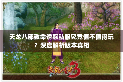 天龙八部致命诱惑私服究竟值不值得玩？深度解析版本真相