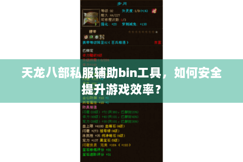 天龙八部私服辅助bin工具，如何安全提升游戏效率？
