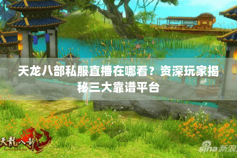 天龙八部私服直播在哪看?资深玩家揭秘三大靠谱平台 天龙八部私服直播在哪看?资深玩家揭秘三大靠谱平台