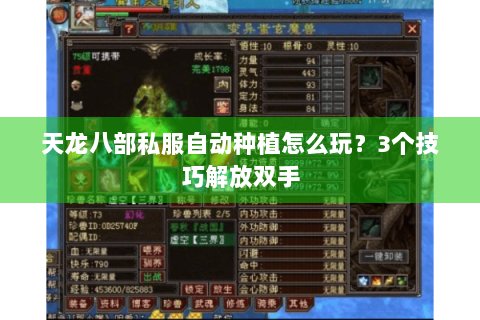 天龙八部私服自动种植怎么玩？3个技巧解放双手