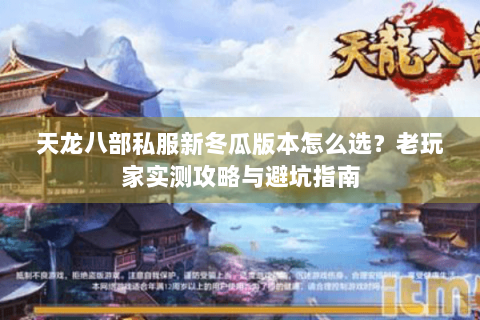 天龙八部私服新冬瓜版本怎么选？老玩家实测攻略与避坑指南