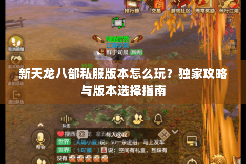 新天龙八部私服版本怎么玩？独家攻略与版本选择指南