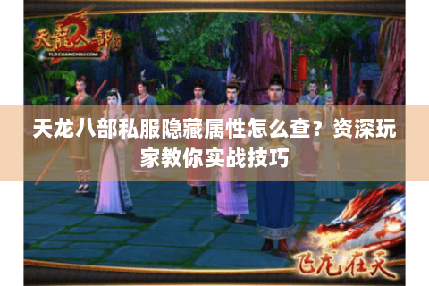 天龙八部私服隐藏属性怎么查?资深玩家教你实战技巧 天龙八部私服隐藏属性怎么查?资深玩家教你实战技巧