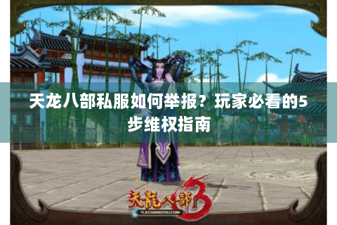 天龙八部私服如何举报?玩家必看的5步维权指南 天龙八部私服如何举报?玩家必看的5步维权指南