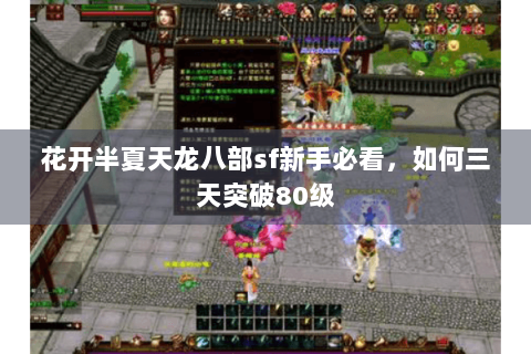 花开半夏天龙八部sf新手必看,如何三天突破80级 花开半夏天龙八部sf新手必看,如何三天突破80级