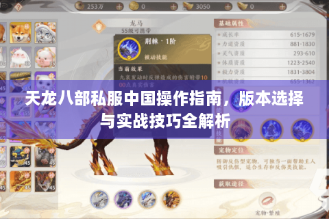 天龙八部私服中国操作指南,版本选择与实战技巧全解析 天龙八部私服中国操作指南,版本选择与实战技巧全解析