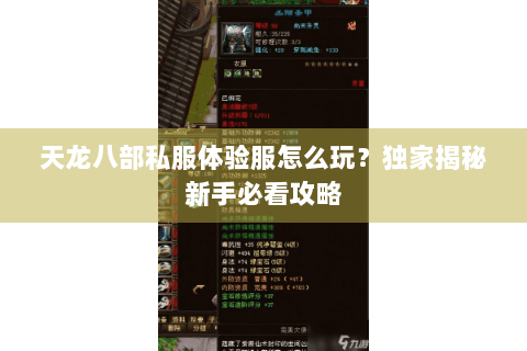 天龙八部私服体验服怎么玩？独家揭秘新手必看攻略