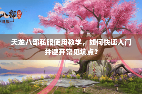 天龙八部私服使用教学，如何快速入门并避开常见坑点？