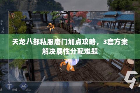 天龙八部私服唐门加点攻略，3套方案解决属性分配难题