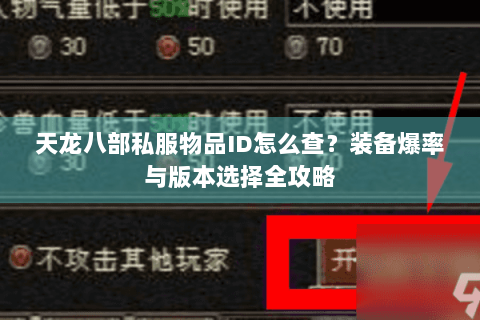 天龙八部私服物品ID怎么查？装备爆率与版本选择全攻略