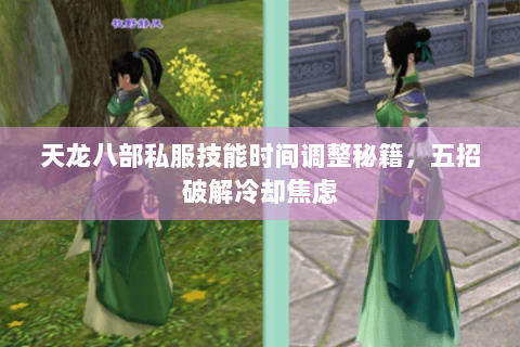 天龙八部私服技能时间调整秘籍,五招破解冷却焦虑 天龙八部私服技能时间调整秘籍,五招破解冷却焦虑
