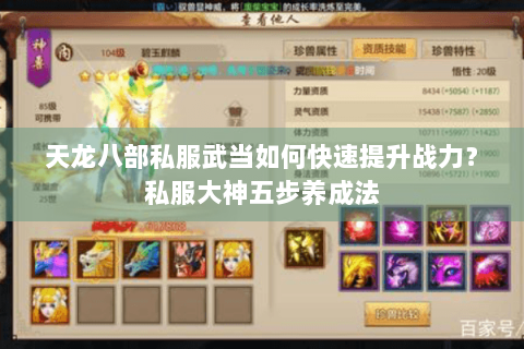天龙八部私服武当如何快速提升战力？私服大神五步养成法