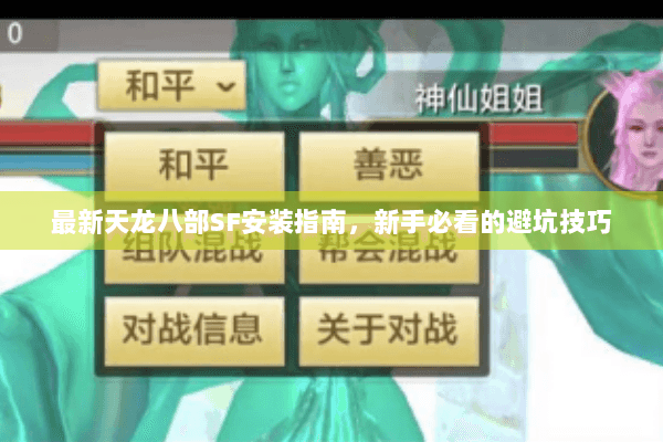 最新天龙八部SF安装指南，新手必看的避坑技巧