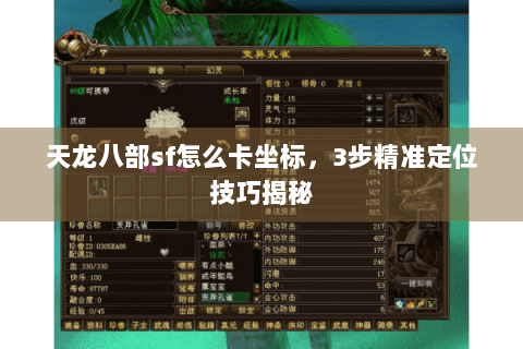 天龙八部sf怎么卡坐标,3步精准定位技巧揭秘 天龙八部sf怎么卡坐标,3步精准定位技巧揭秘