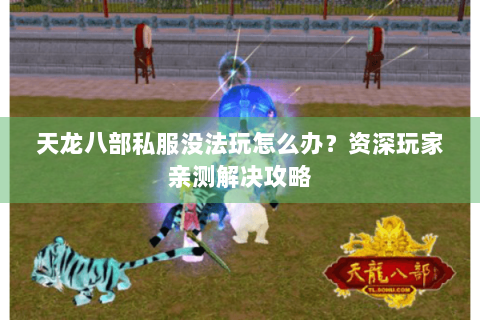 天龙八部私服没法玩怎么办?资深玩家亲测解决攻略 天龙八部私服没法玩怎么办?资深玩家亲测解决攻略