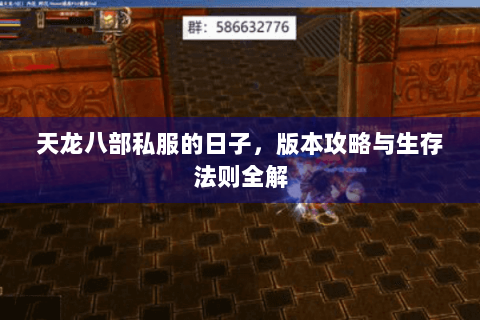 天龙八部私服的日子，版本攻略与生存法则全解