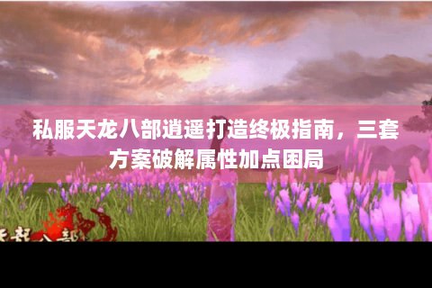 私服天龙八部逍遥打造终极指南,三套方案破解属性加点困局 私服天龙八部逍遥打造终极指南,三套方案破解属性加点困局
