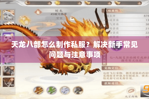 天龙八部怎么制作私服？解决新手常见问题与注意事项