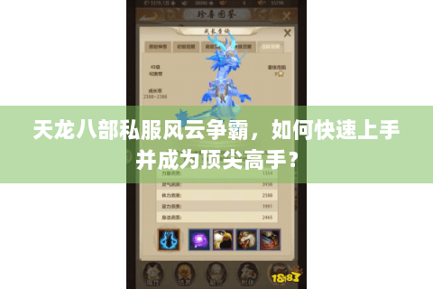 天龙八部私服风云争霸,如何快速上手并成为顶尖高手? 天龙八部私服风云争霸,如何快速上手并成为顶尖高手?