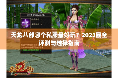 天龙八部哪个私服最好玩?2023最全评测与选择指南 天龙八部哪个私服最好玩?2023最全评测与选择指南