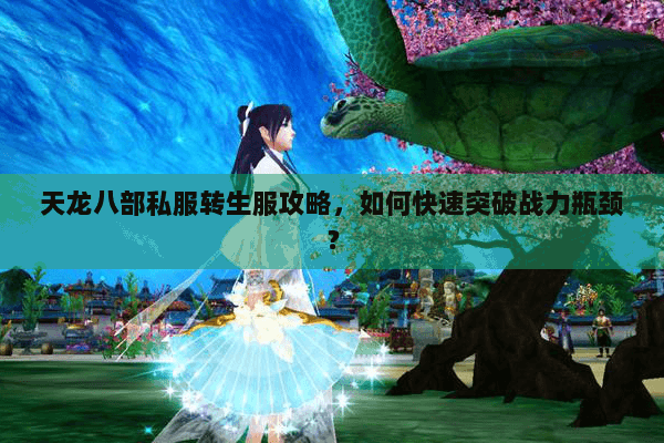 天龙八部私服转生服攻略，如何快速突破战力瓶颈？