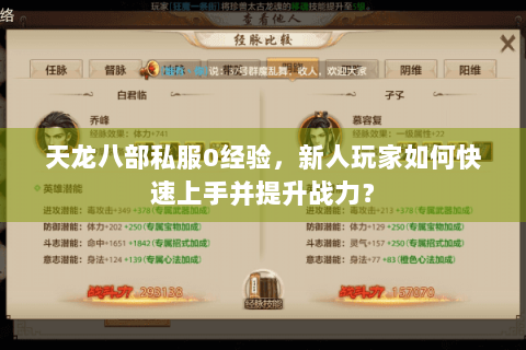 天龙八部私服0经验，新人玩家如何快速上手并提升战力？