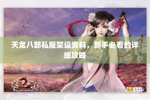 天龙八部私服架设资料，新手必看的详细攻略