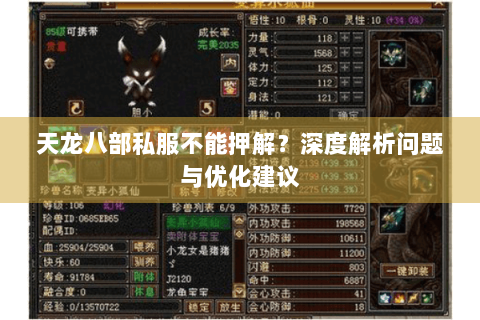 天龙八部私服不能押解？深度解析问题与优化建议